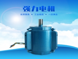 科瑞萊環(huán)?？照{(diào)1.1KW專(zhuān)用電機(jī)